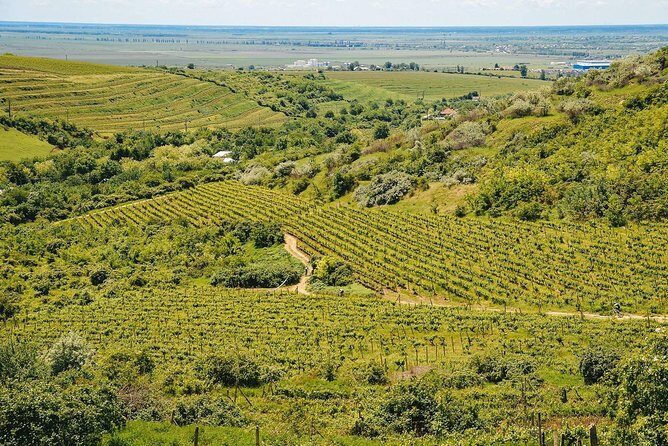 Bike & Wine tour in Dealu Mare wineland - A Deep Dive into the Dealu Mare Bike & Wine Experience
