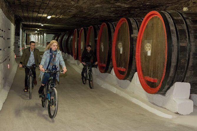 Biking a Guinness Book Winery - Biking a Guinness Book of Winery Tour Review