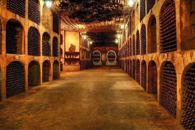 Biking a Guinness Book Winery - Key Points