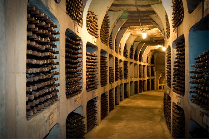 Biking a Guinness Book Winery - The Sum Up