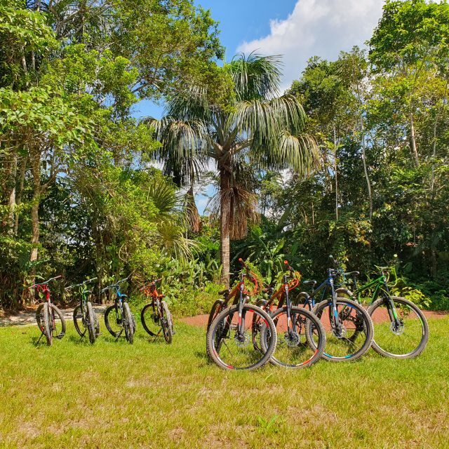 Biking in Peruvian rainforest with Lagoon visit - The Itinerary: What to Expect