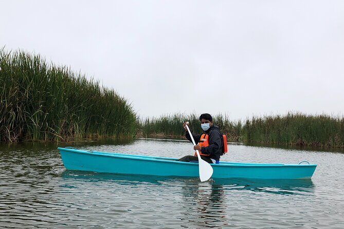 Biking to Wildlife Refuge and Birdwatching (Pantanos de Villas) - Who Will Love This Tour?