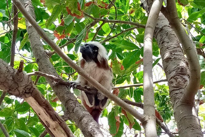 Biking Tour Cartagena - Who Would Love This Tour?