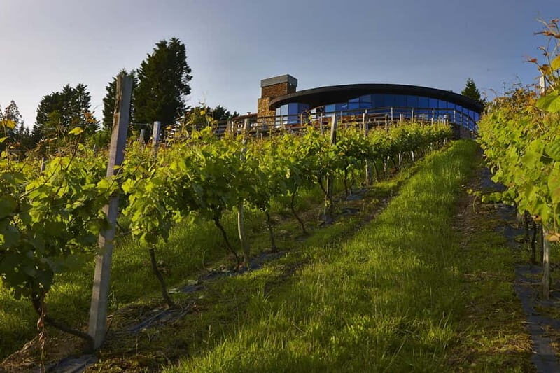 Bilbao: Gaztelugatxe, Bermeo, Mundaka, Gernika, & Wine Tour - Mundaka: The Surfer’s Paradise