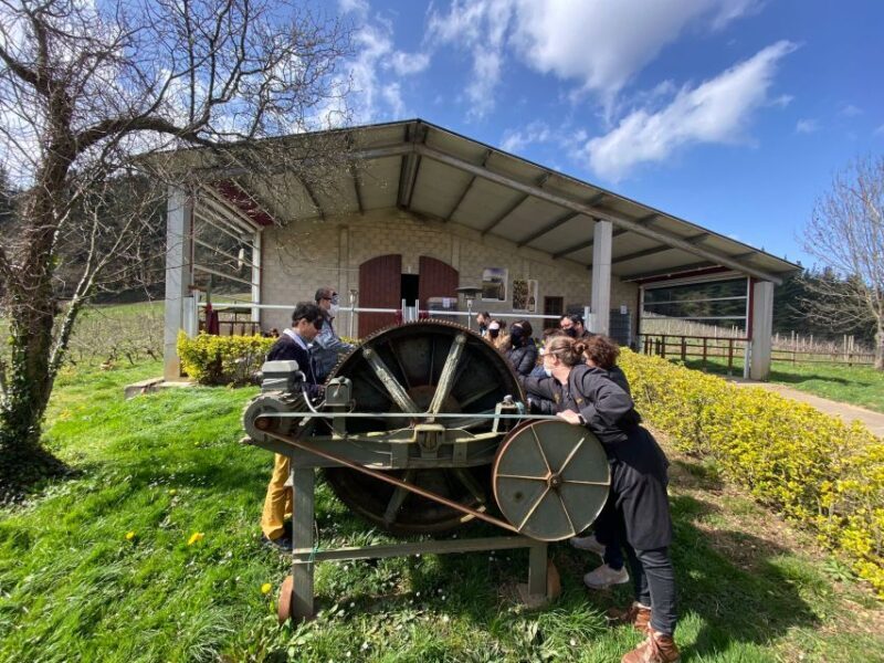 Bilbao: Guided Txacoli Wine Tasting - Bilbao: Guided Txacoli Wine Tasting — A Deep Dive into Basque Wine and Culture