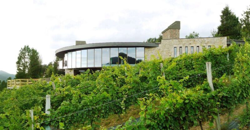 Bilbao: Organic Winery Visit with Tasting - Bilbao: Organic Winery Visit with Tasting — A Genuine Taste of Basque Country