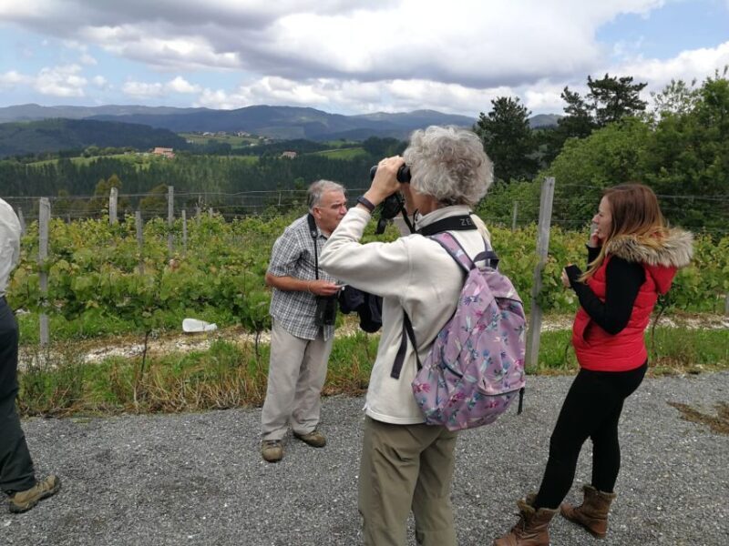 Bilbao: Organic Winery Visit with Tasting - Key Points