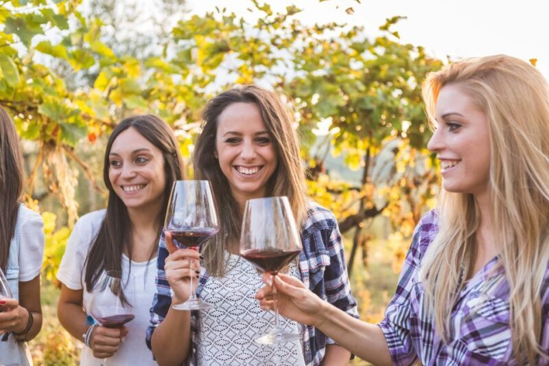 Bilbao: Organic Winery Visit with Tasting - Overall Experience and Suitability