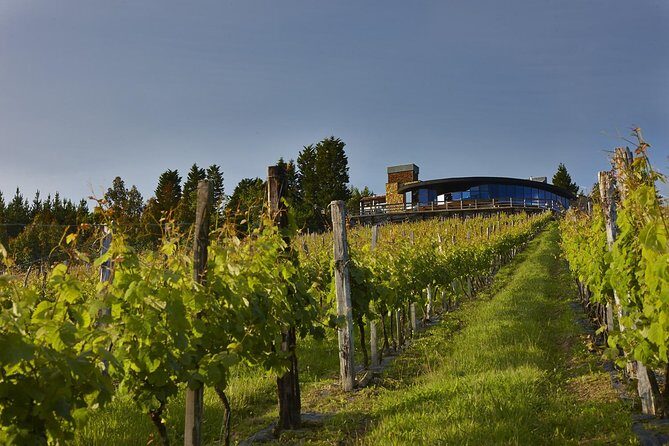 Bilbao Txakoli Wine Tour - Final Thoughts: Is It Worth It?