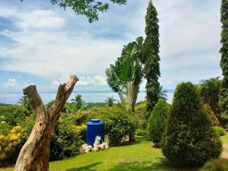 Biliran: Tinago Falls, Farm Tour & Tomalistis Falls Day Trip - Frequently Asked Questions