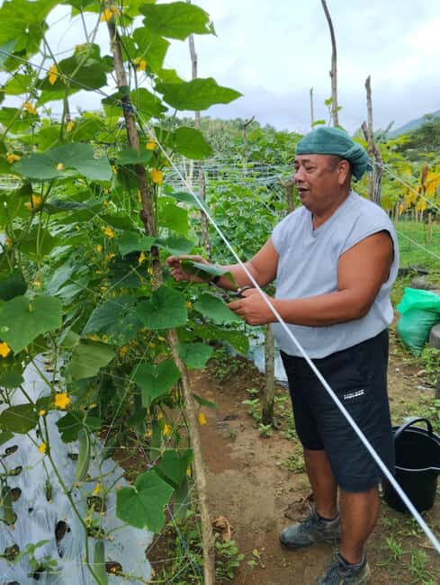 Biliran: Waterfalls & Nature Escape with lunch - Key Points