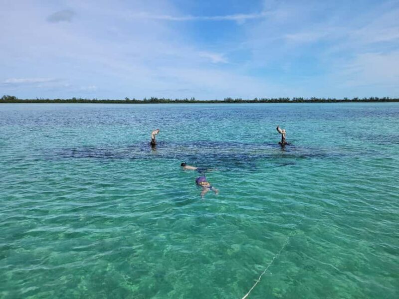 Bimini: 4-Stop Snorkeling Adventure - Why This Tour Is a Great Fit