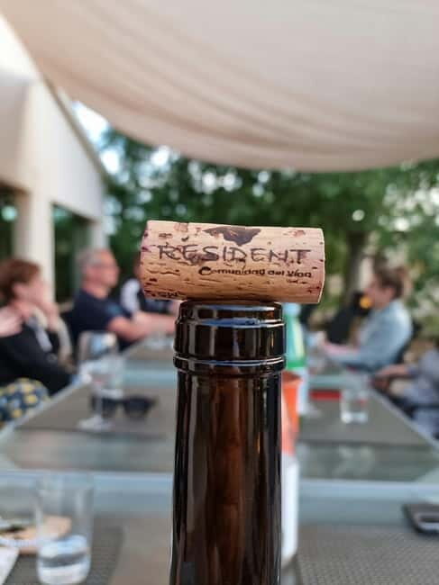 Binissalem: Individual vineyard tour and wine tasting in German - Who Should Consider This Tour?