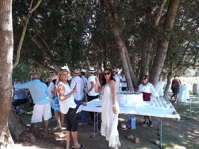 Binissalem: Individual vineyard tour and wine tasting in German - Final Thoughts: Is This the Right Experience for You?