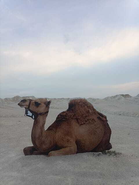 Bintan Desert And Blue Lake Private Tour - Final Thoughts