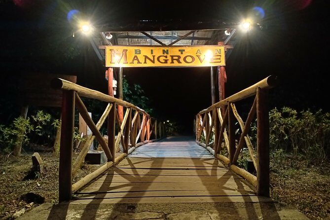 Bintan Fireflies Discovery Tour - Bintan Fireflies Discovery Tour: A Nighttime Wonder in Lagoi