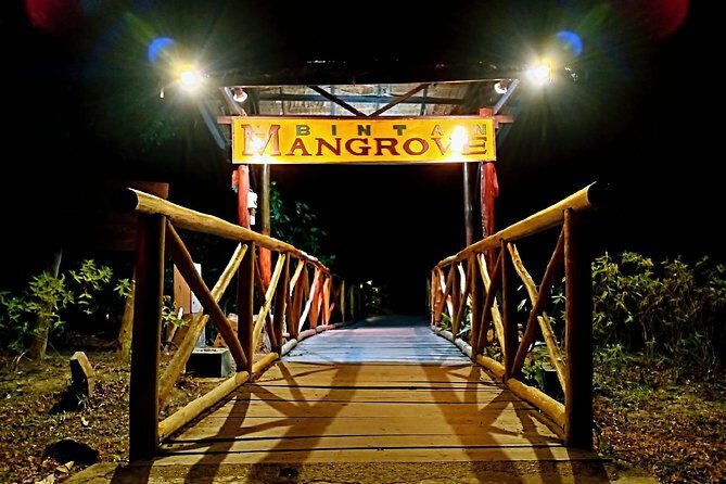 Bintan Fireflies Discovery Tour - An In-Depth Look at the Bintan Fireflies Discovery Tour