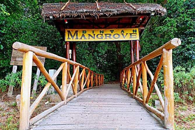 Bintan Mangrove Discovery Tour - Bintan Mangrove Discovery Tour: An Authentic Jungle Cruise for Nature Enthusiasts