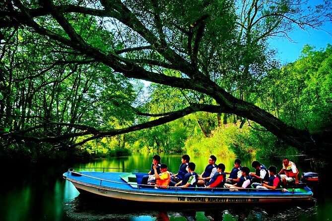Bintan Mangrove Discovery Tour - Exploring the Bintan Mangrove Discovery Tour in Detail