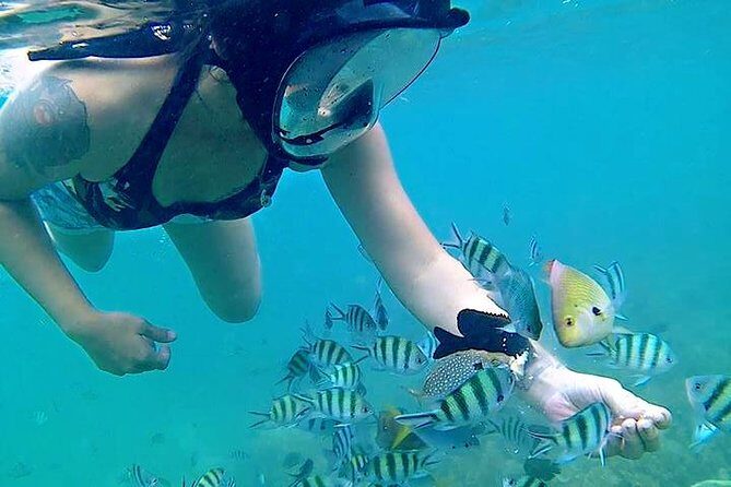 Bintan Snorkeling Tour - Frequently Asked Questions