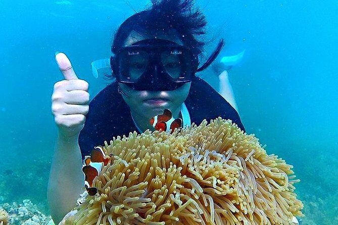 Bintan Snorkeling Tour - Who Would Love This Tour?