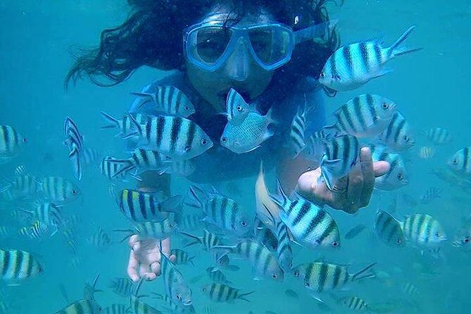 Bintan Snorkeling Tour - FAQs