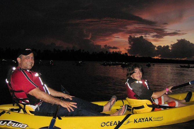 Bio Bay Kayak Tour in Fajardo - Final Thoughts: Is This Tour Worth It?