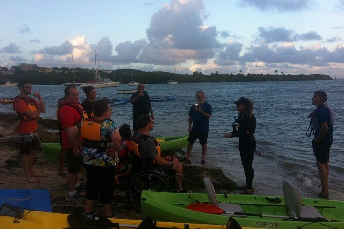 Bio Bay Night Kayaking with Transport from San Juan Area - FAQ: Your Questions About the Bio Bay Night Kayaking Tour