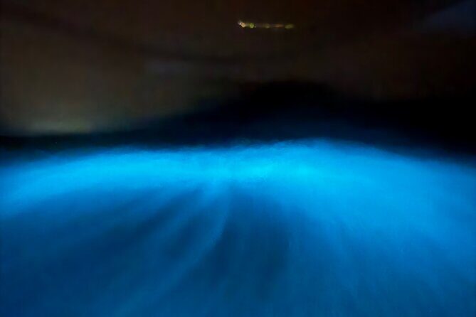 Bio Bay Tour Vieques Full Clear Canoes Experience - Vieques Bio Bay Tour with Full Clear Canoes: A Natural Light Show