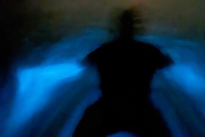 Bio Bay Tour Vieques Full Clear Canoes Experience - The Price and Its Reflection on Value