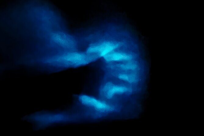 Bio Bay Tour Vieques Full Clear Canoes Experience - Who Should Consider This Tour?