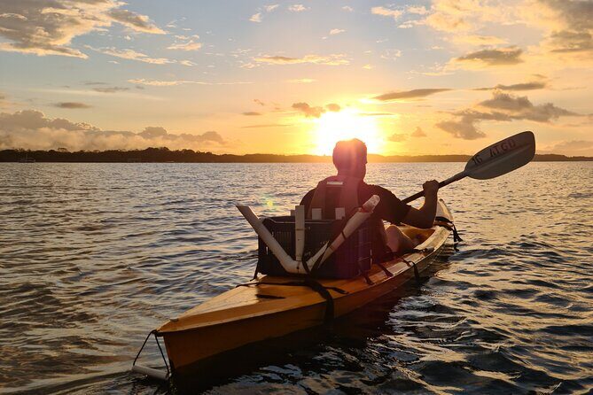 Bio-Luminescence and Sunset Kayak Tour - A Detailed Look at the Tour Experience
