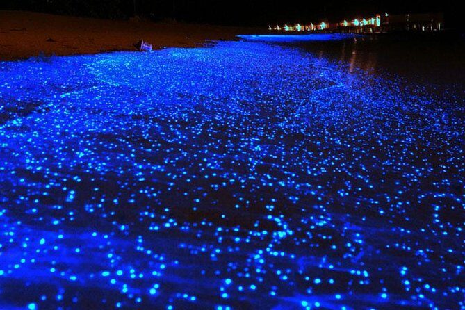 Bio Luminescent Swimming From Krabi - The Highlights and Challenges