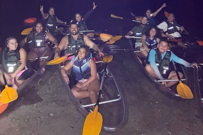 Biobay Vieques Tour Kayak Night Tour - Setting the Scene: What You’re Signing Up For