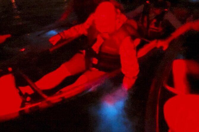 Biobay Vieques Tour Kayak Night Tour - What Makes This Tour Special? The Highlights