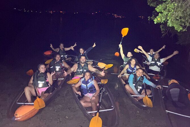 Biobay Vieques Tour Kayak Night Tour - Authentic Experiences and Authentic Insights
