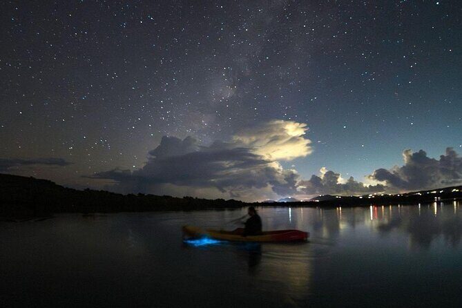 Biobay Vieques Tour Kayak Night Tour - Practical Tips for a Smooth Experience