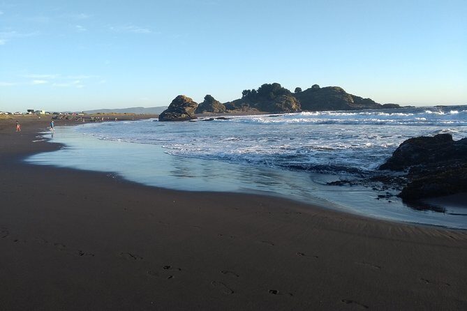 Biobío River Estuary and Rocoto Beach - In-Depth Look at the Tour Experience