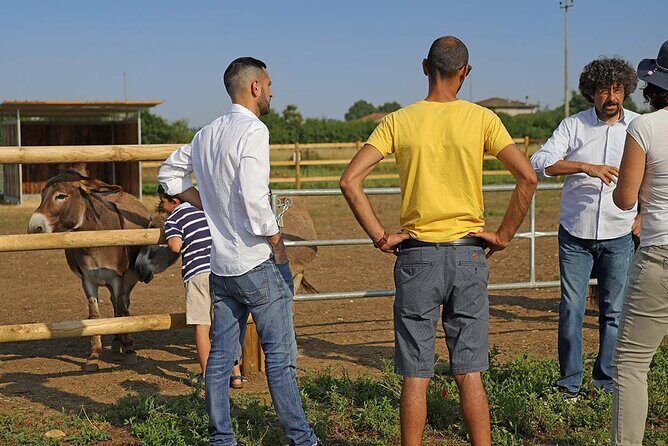 Biodynamic Farm and Natural Wines Tasting in Lazise - Key Points