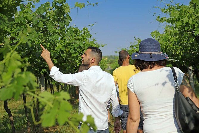 Biodynamic Farm and Natural Wines Tasting in Lazise - Exploring Lazise’s Biodynamic Farm and Natural Wine Tasting