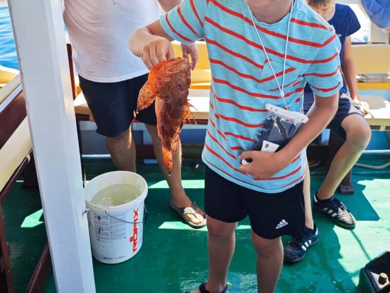 Biograd: Authentic Fishing Tour in Croatia. Kids Love This! - An Authentic Glimpse of Croatian Island Fishing Heritage