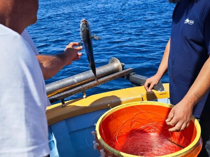 Biograd: Authentic Fishing Tour in Croatia. Kids Love This! - In Summary