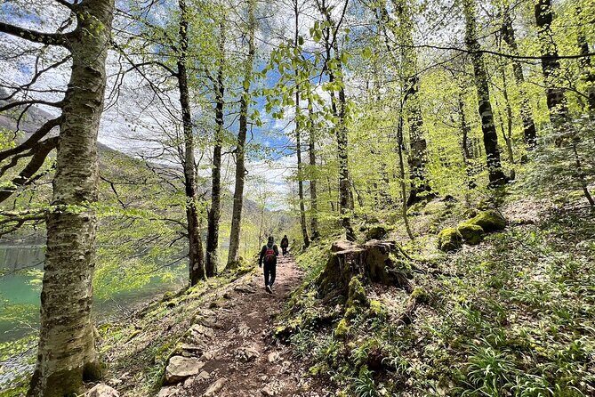 Biogradska Gora National Park Tour with Optional Add-Ons - FAQ