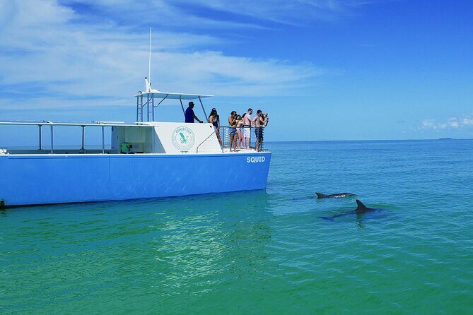 Biologist Owned & Operated: Dolphin Watching & Guided Snorkeling - Final Thoughts: Who Should Book?
