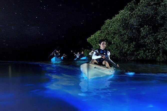 Bioluminescence Clear Kayak or Paddleboard Tour Near Orlando - Bioluminescence Clear Kayak or Paddleboard Tour Near Orlando: An Authentic Nighttime Adventure