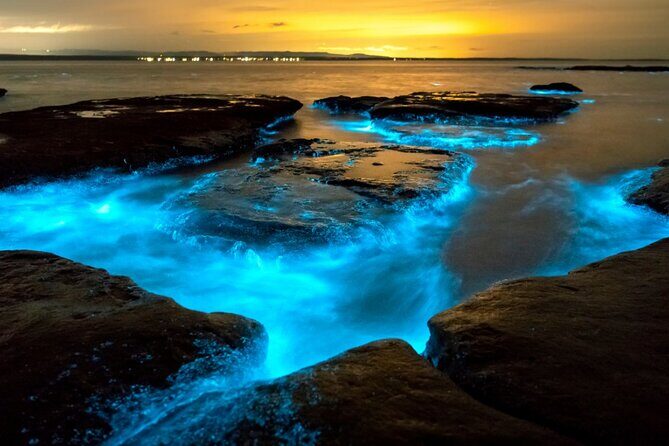 Bioluminescence Clear Kayak or Paddleboard Tour Near Orlando - Key Points