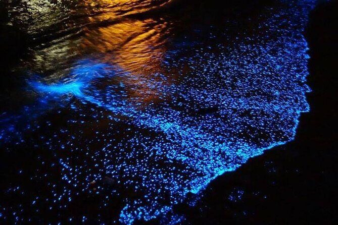 Bioluminescence Experience from Curú Wildlife Refuge - Key Points