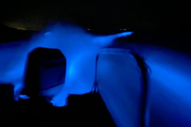 Bioluminescence Experience from Curú Wildlife Refuge - Who Should Consider This Tour?