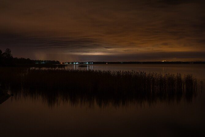 Bioluminescence from Puerto Escondido - An In-Depth Look at the Bioluminescence Tour