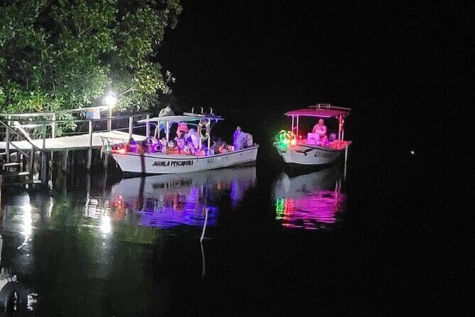 Bioluminescence in Manialtepec Night Tour from Huatulco - Key Points